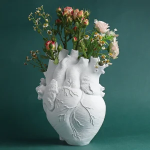 vase coeur anatomique