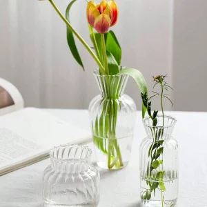 petit vase transparent